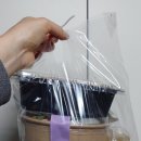리자매 샌드위치&샐러드 - 사하구 괴정동 | 리자매 샌드위치&샐러드