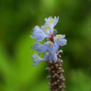 참샘골농원 이미지