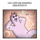 코타키나 이미지