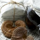 로뎀나무한의원 이미지