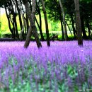 경주시립도서관 화장실 이미지