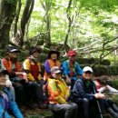 자연그리 이미지