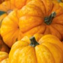 한국나노마이스터고등학교 이미지