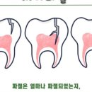 도원장 이미지