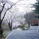 수도산_자연휴양림2_세미나실 출입구 | 경북 김천 가볼만한 곳, 수도산 자연휴양림 1/4 - 숲속수련관, 계곡