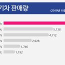 2018 국내 전기차 판매순위 이미지