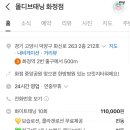 몰디브태닝 고양화정점