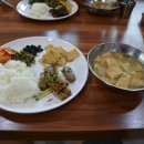 낙단보자전거민박 | [자전거 전국일주] #4 (D+7) 낙단보 자전거 민박~칠곡보 캠핑장~적포교