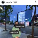 안경몬스터 네이버블로그