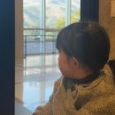 델피노 키즈클럽 이미지
