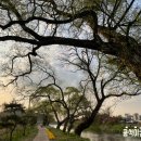 반곡리보건진료소 이미지