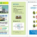 한국방송대 농학과 국화분재전시회(대백프라자11층) 이미지