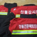 부여나염 이미지