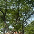 레스트플레이스 | 서울에서 드라이브가기 좋은 의정부 양주 카페 후기 1 | 포어레스트, 플레이스지안, AAA베이커리, 모드닉
