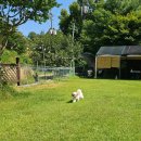 옥천쉼터화장실 이미지