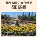 이마트24가음꿈에그린점 | 경남 창원 장미공원 개화시기 주차 5월 꽃구경 데이트 가볼만한곳