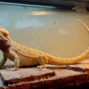 비타민동물병원 이미지