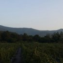 새들의천국 이미지