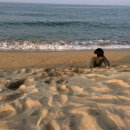 바다놀이터 이미지