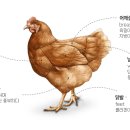 고기고기 - 용인시 기흥구 어정로 114 | 고기고기