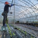 숨고름민박 이미지