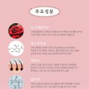 댕바이댕 이미지