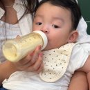 롯데쇼핑(주)롯데마트 롯데몰수지점 | 6월 일상 끄적끄적(1)