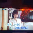 허니보이스동전노래연습장 이미지