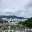 부산 기장 아이랑 동물체험으로 가볼만한곳, 정관 치유농장 온담 다녀온 솔직후기 (밥집 및 카페 한방정리)