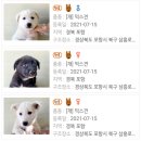 종혁농장 이미지