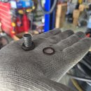 제틀리시(zartlich) 이미지