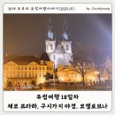 코보소 | 로마 시내-공항 셔틀버스(SIT), 체코 프라하 여행 1일차 구시가지 야경 코젤로브나 (코젤맥주직영)