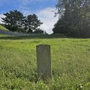 신기리 고분군 이미지