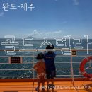 완도약국 | 완도 제주 배편 골드스텔라 배타고 제주가기 인천에서 배타고 제주가는 방법