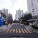 지에스더프레시강선