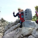 남도삼백리길(4코스) 이미지