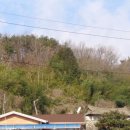 여주-1052 Daum카페