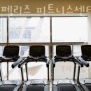 비다펠리즈 이미지
