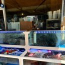 베테랑 종합어시장 이미지