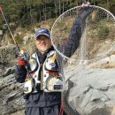 행복한손맛 이미지