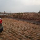 뭉쓰살롱 이미지