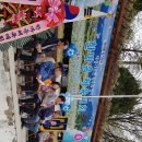 가조면-39 이미지