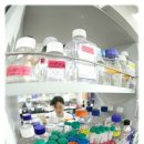 암 투병 과정에서 면역력을 회복하고 잘 유지하는 방법 이미지