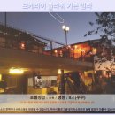 위성빌라 | 난터우 여행 숙소 추천 보케라이 플라워 가든 빌라 후기