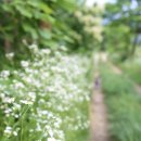 황토사랑 나무야 이미지