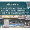 와동라반데리아 Daum카페