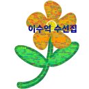 의류 수선(주말) | 이수역 옷수선 유목민 정착 후기! &#39;태평수선실&#39; 아직도 모르세요?