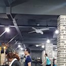 엔케이피티샵 이미지