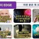 웰니스플러스 이미지