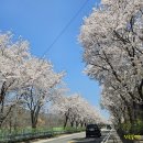 북한강로 이미지